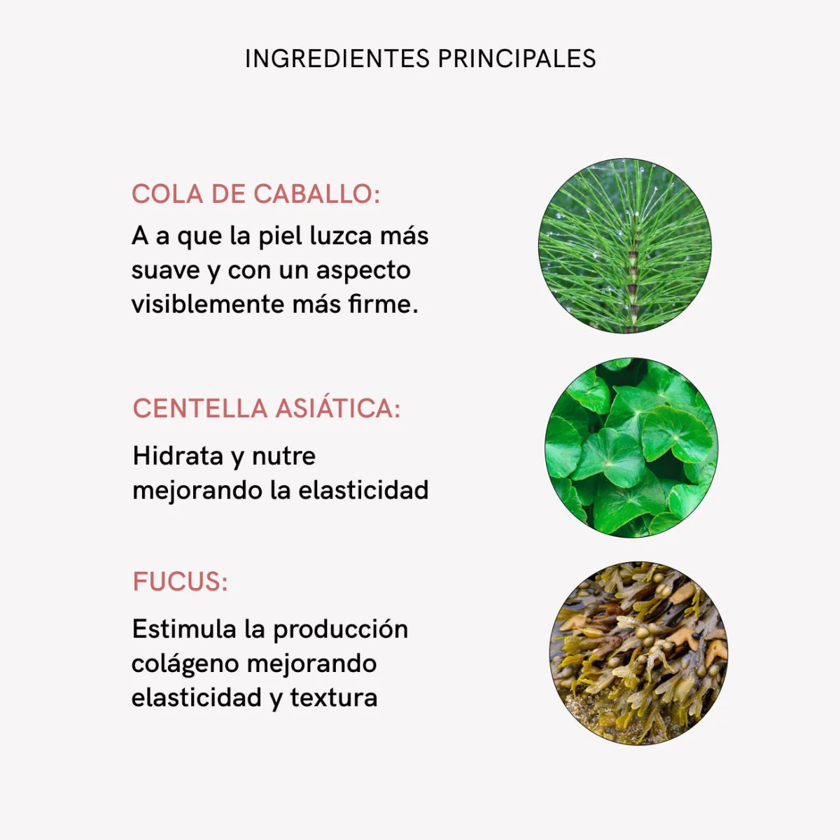 Imagen del producto 8