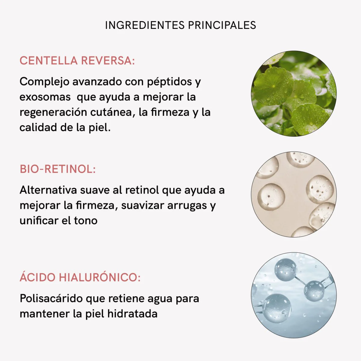 Imagen del producto 9