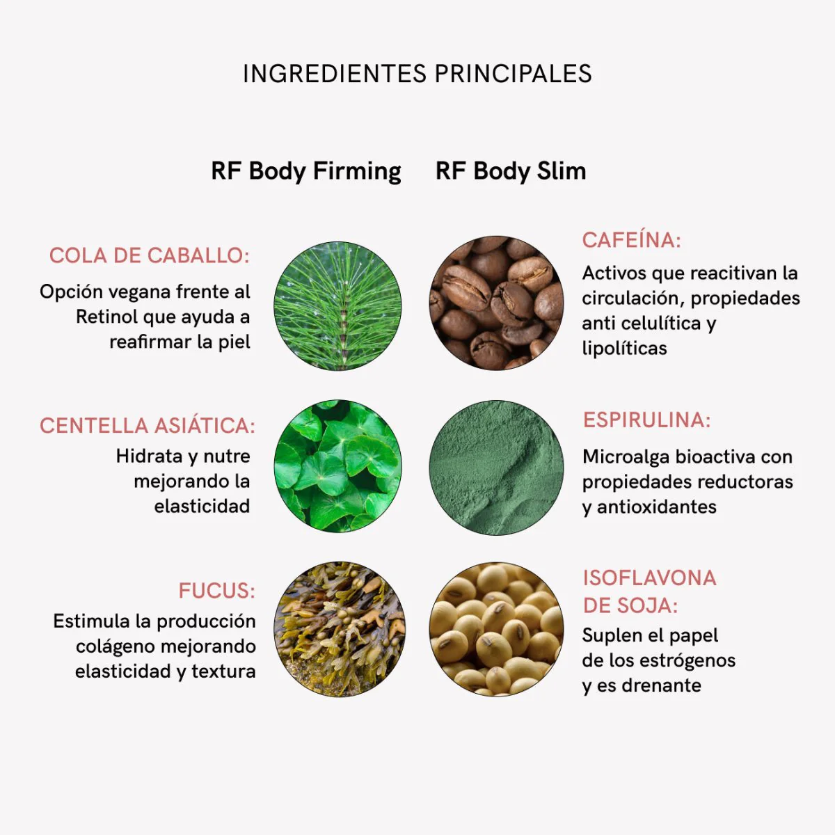 Imagen del producto 8