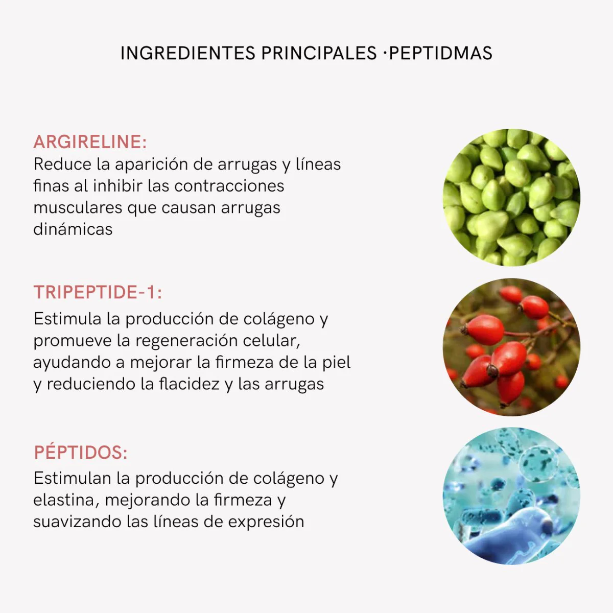 Imagen del producto 12